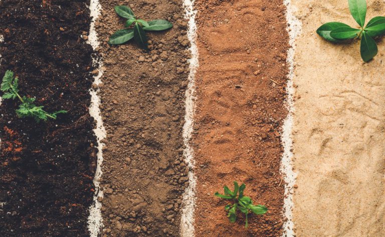 Ci Ncias Da Natureza Compara O De Amostras De Solo Conex O Escola Sme