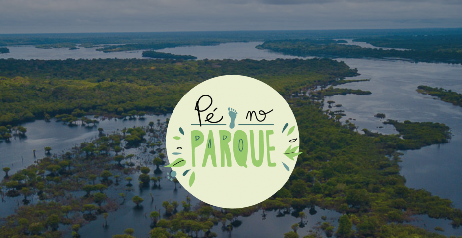 You are currently viewing Parques de Preservação Ambiental