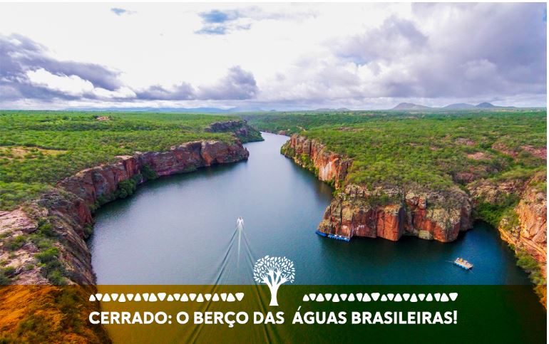 You are currently viewing Cerrado, berço das águas