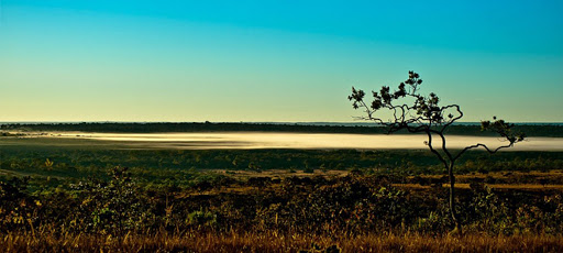 You are currently viewing Geografia – Cerrado, a savana mais rica do planeta!