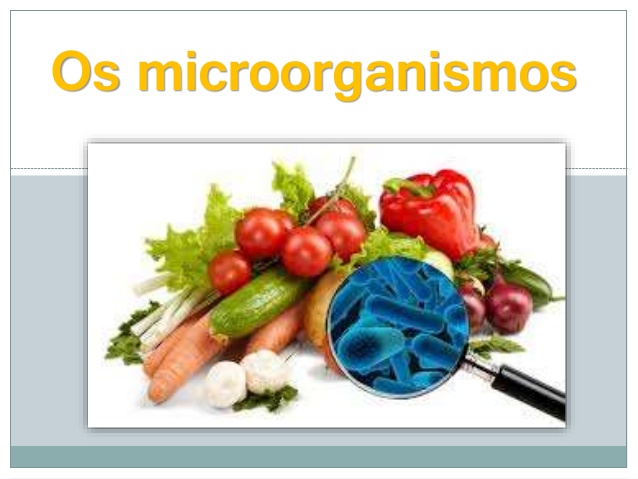You are currently viewing Micro…organismos e higiene