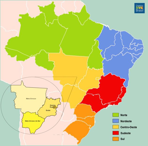 You are currently viewing Geografia – Região Centro-Oeste e suas brincadeiras