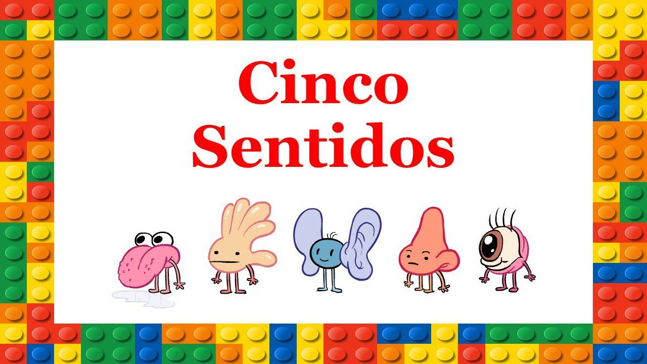 You are currently viewing Os 5 Sentidos