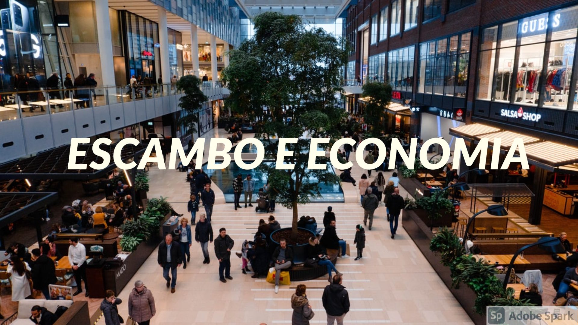 You are currently viewing Escambo e Economia
