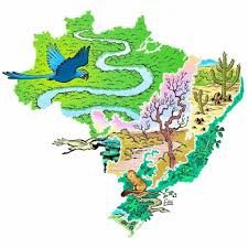 You are currently viewing Geografia – Biomas Brasileiros