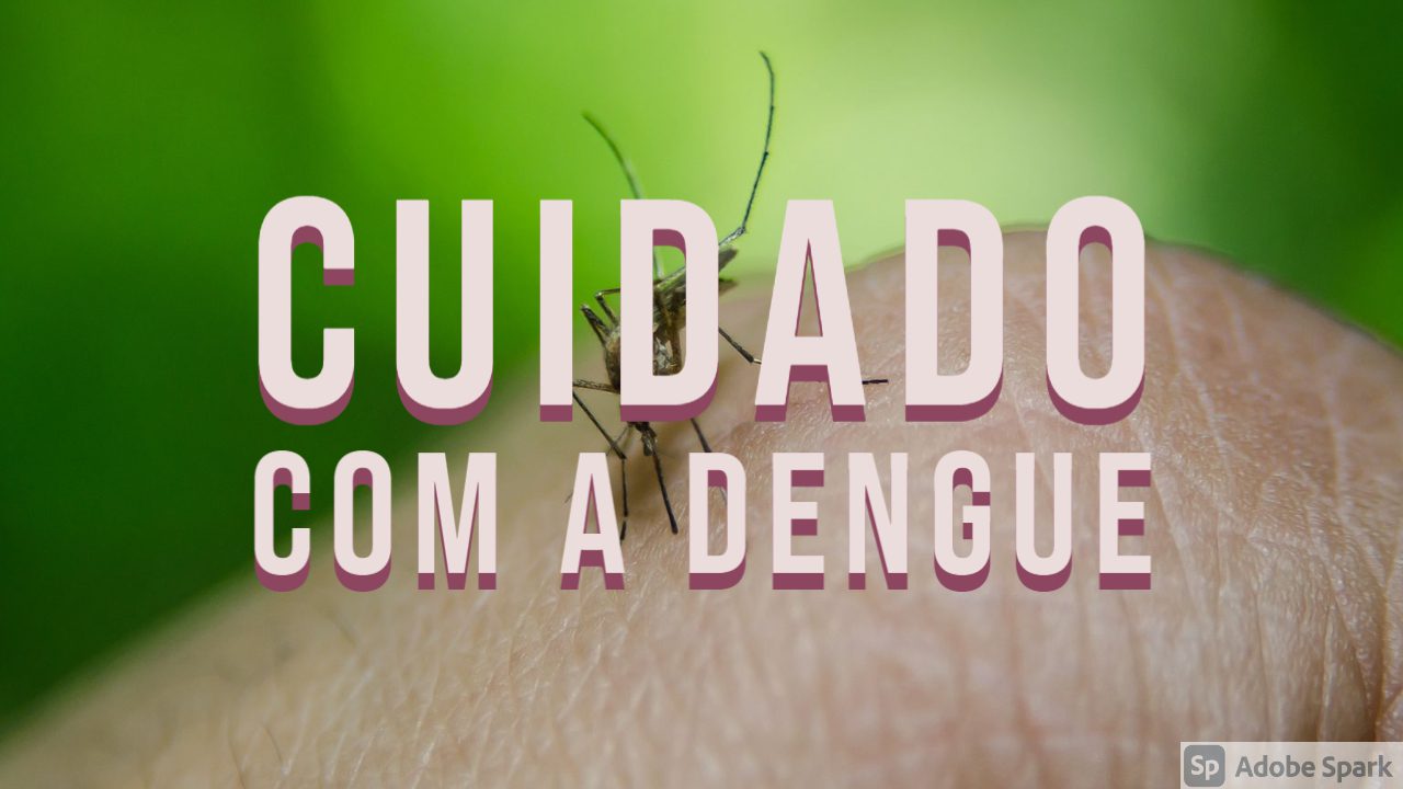 You are currently viewing Cuidado com a Dengue