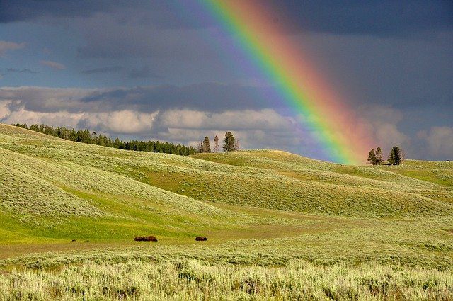 You are currently viewing Ciências da Natureza – Como o arco-íris é formado?