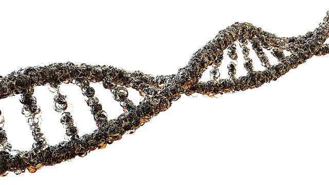 You are currently viewing Ciências da Natureza – Identidade genética: como ela é formada.