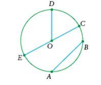 You are currently viewing Matemática – Circunferência e seus elementos