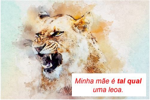 You are currently viewing Língua Portuguesa – Figuras de linguagem: comparação, metáfora e metonímia
