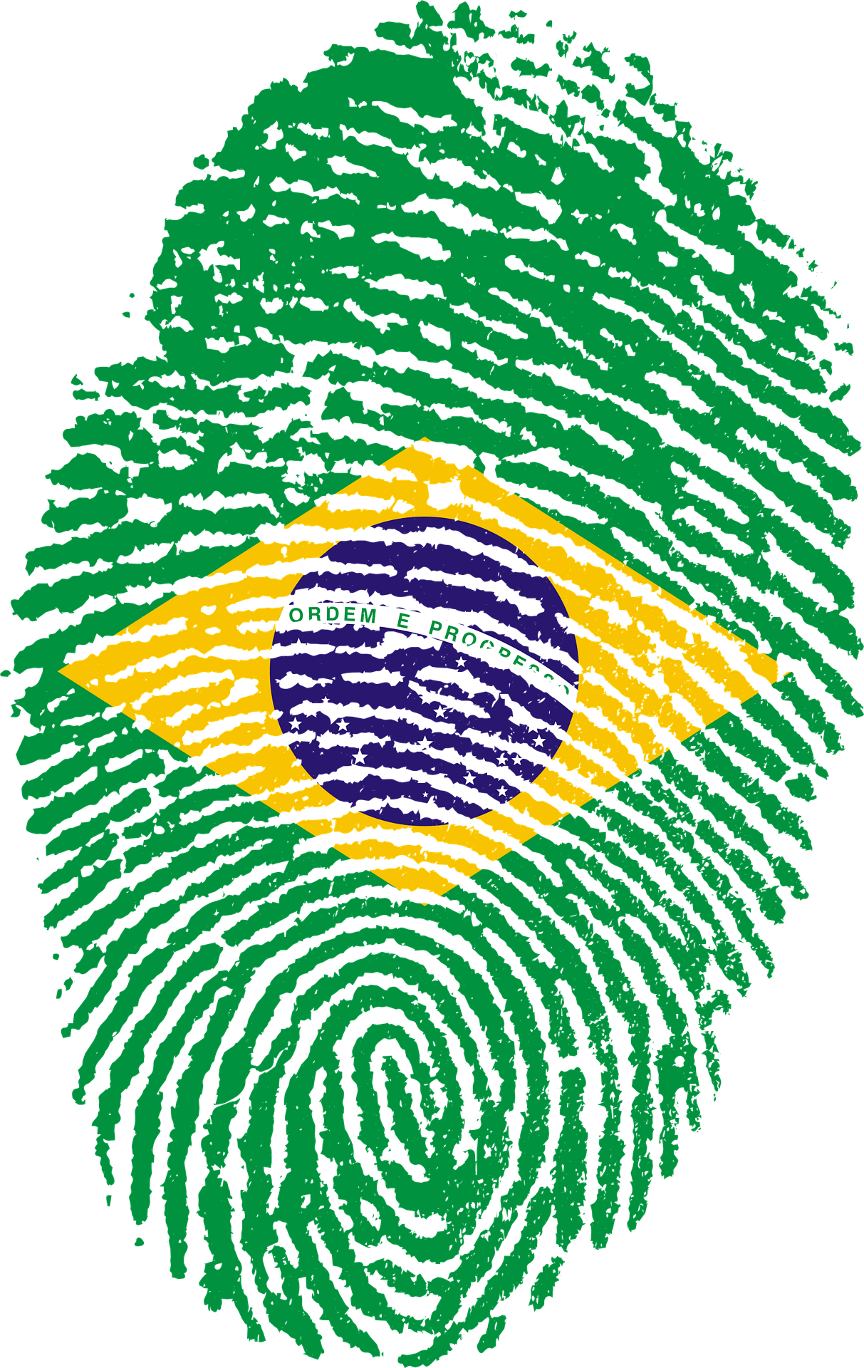 You are currently viewing História – O Brasil no século XIX: A construção da  identidade nacional Brasileira e a queda da Monarquia no Brasil.