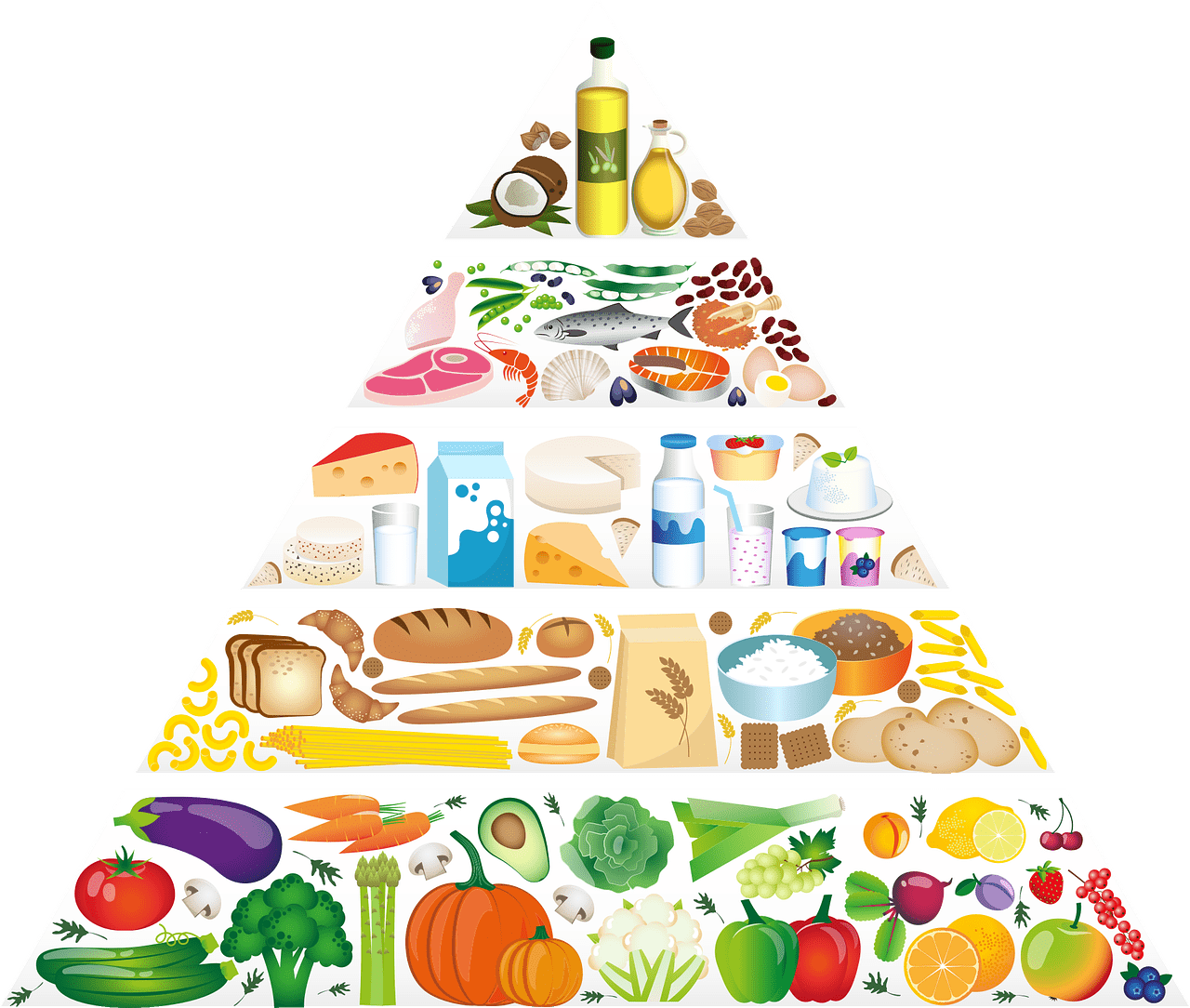 You are currently viewing Ciências da Natureza – Diferentes hábitos alimentares nas sociedades: Sou o que consumo.
