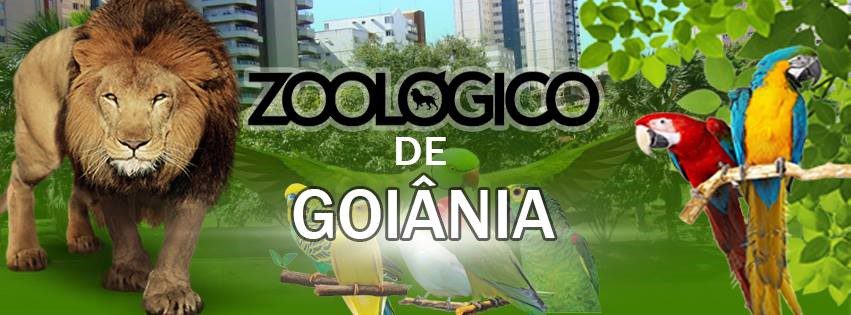 You are currently viewing Língua Inglesa – Touristic Spot: The zoo