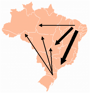 You are currently viewing Geografia – A Migração de Retorno