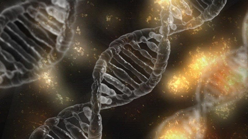 You are currently viewing Ciências da Natureza: A ELUCIDAÇÃO DA DUPLA HÉLICE DO DNA