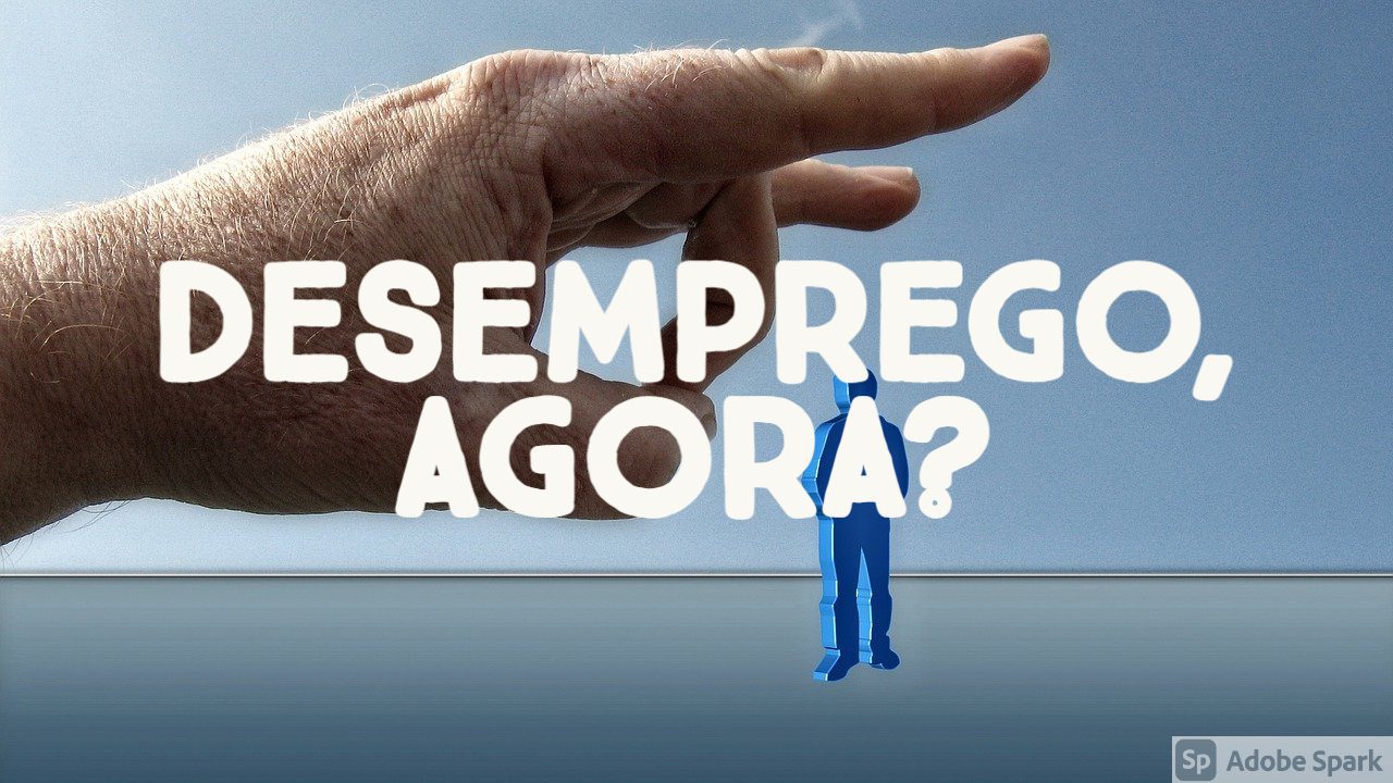 1º Segmento – 1ª à 4ª série – Página: 11 – Conexão Escola SME