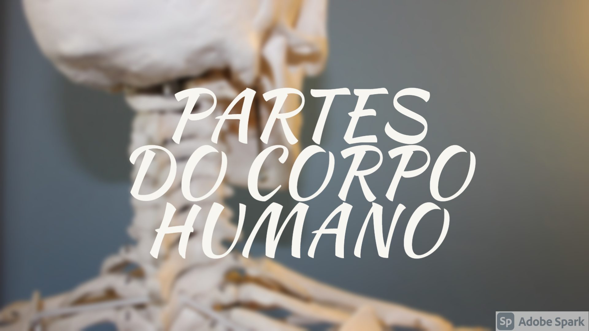 You are currently viewing CIÊNCIAS DA NATUREZA – PARTES DO CORPO HUMANO