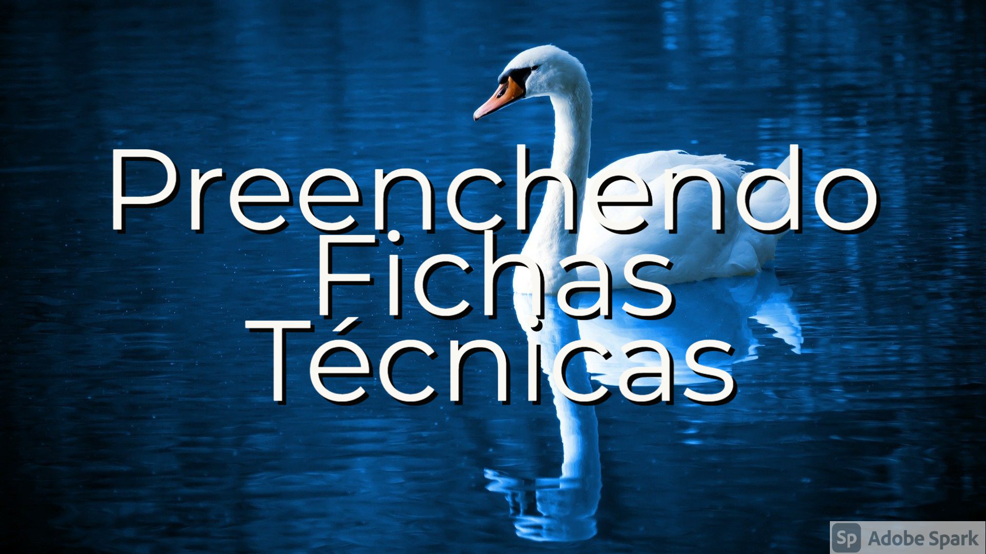 You are currently viewing Arte – Preenchendo Fichas Técnicas