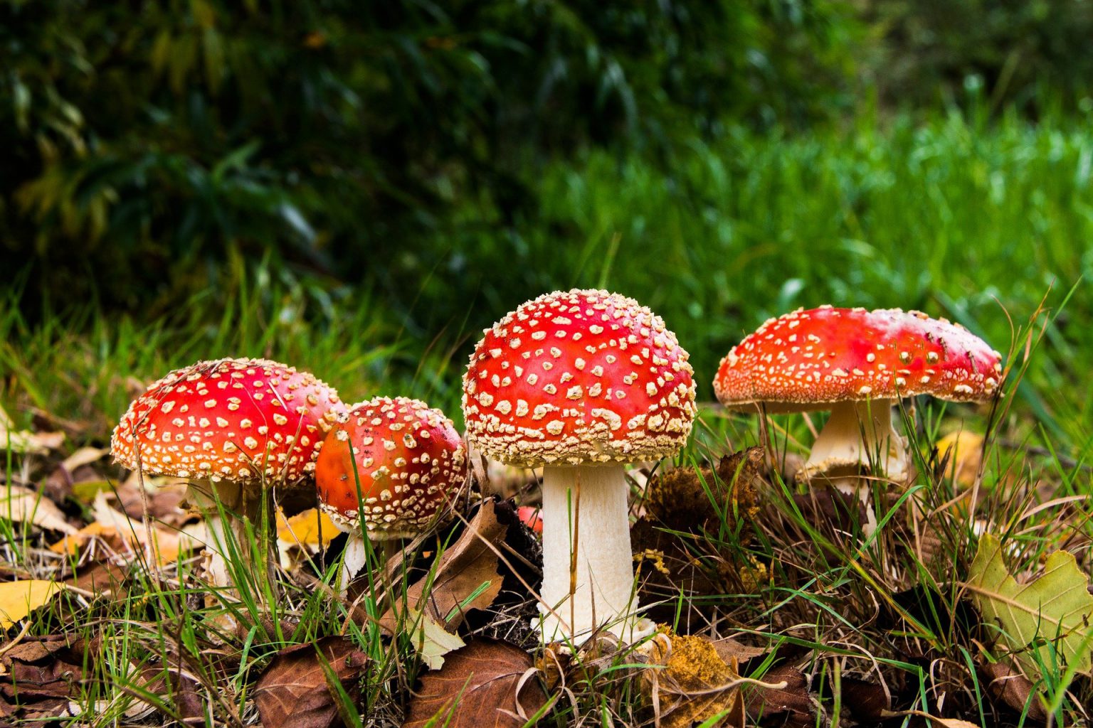 Ciências Da Natureza Conhecendo O Nosso Planeta Terra Conexão Escola Sme 2897