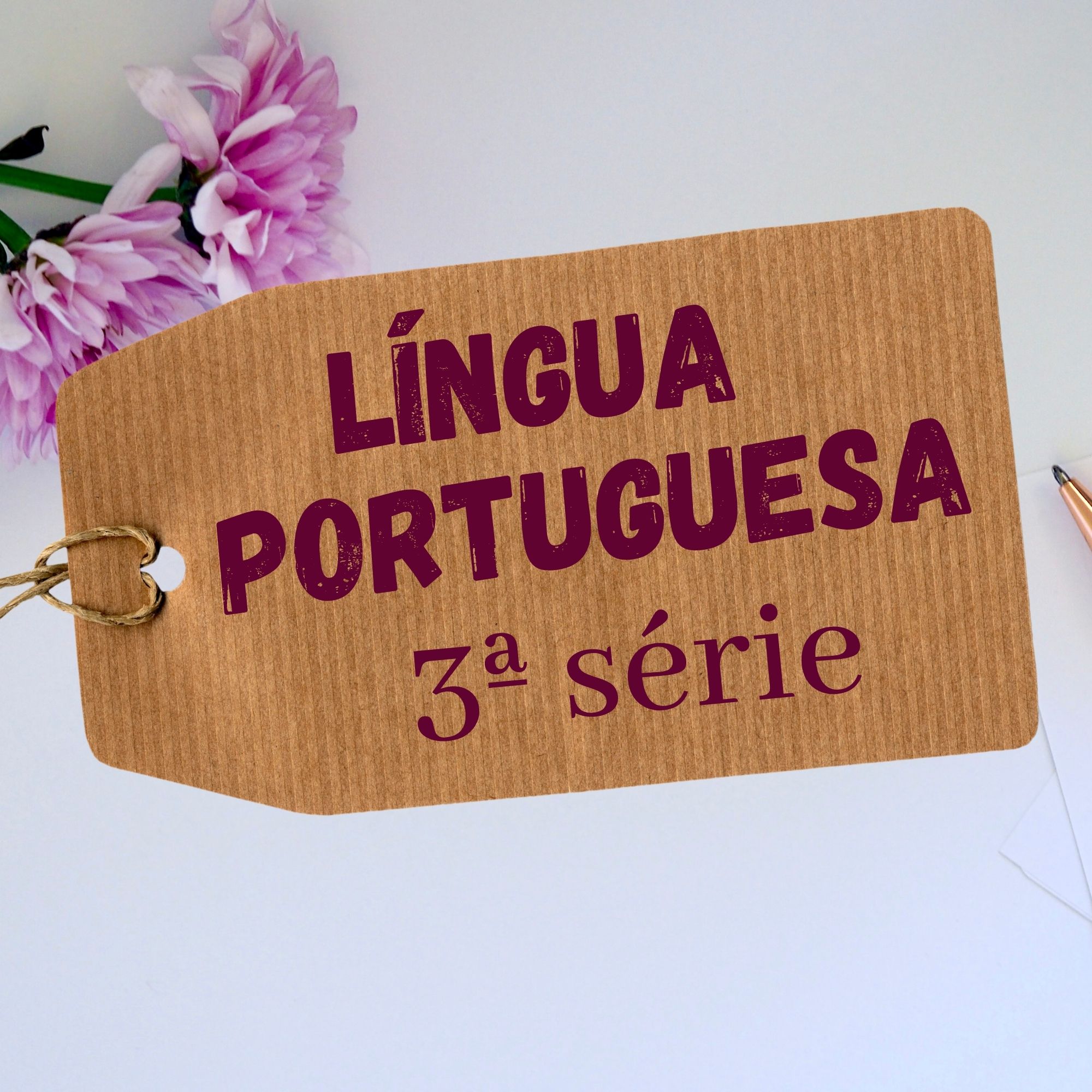 Read more about the article Propostas didáticas – Língua Portuguesa – EJA – 3ª série