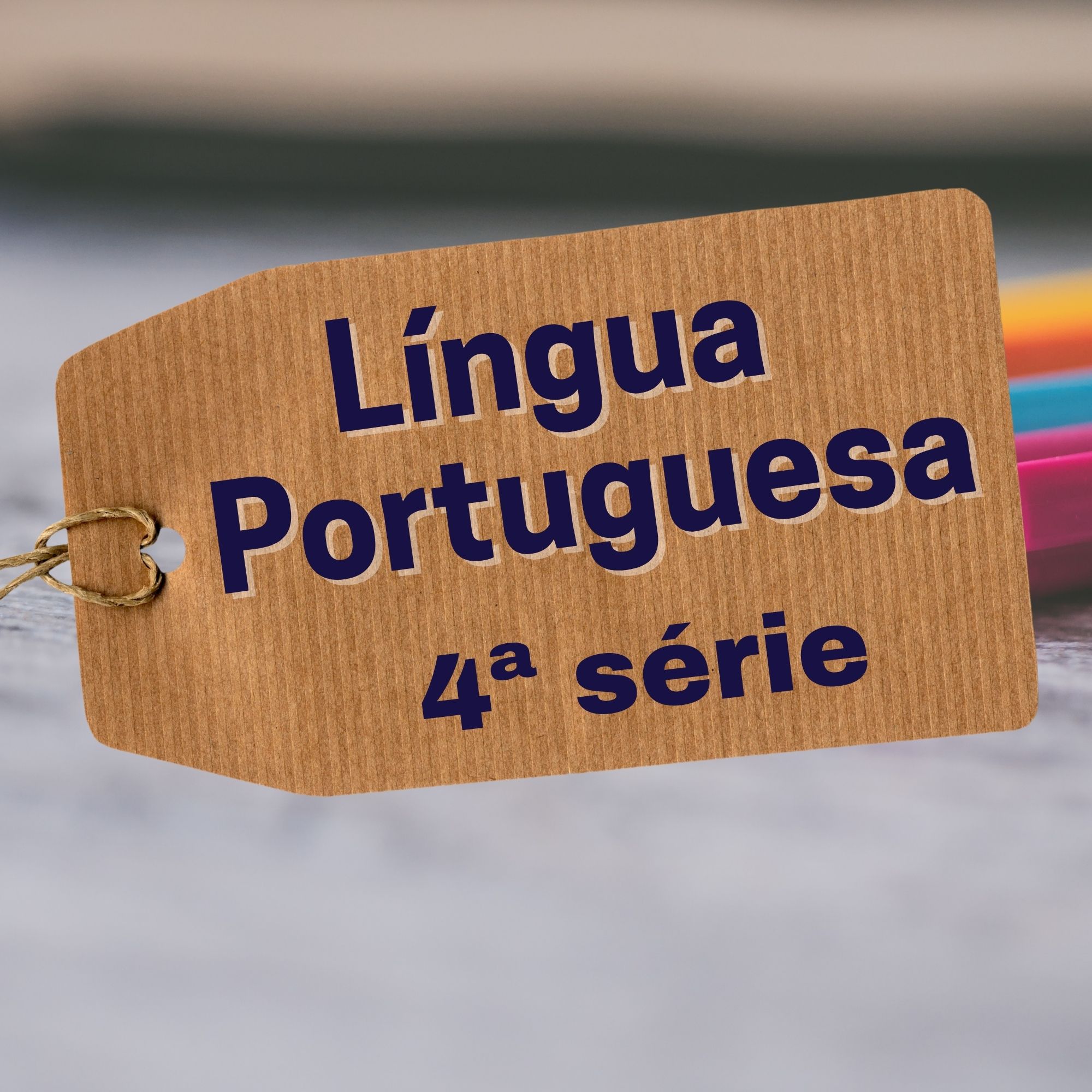 Read more about the article Propostas didáticas – Língua Portuguesa – EJA – 4ª série