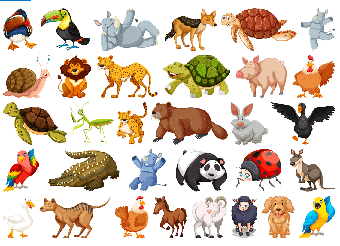 L ngua Inglesa Animals parts and adjectives Partes dos animais