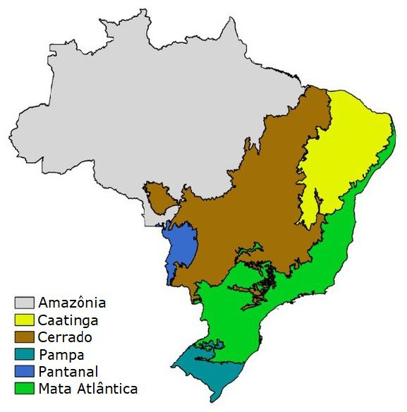 You are currently viewing Ciências da Natureza – Quais são as características dos ecossistemas brasileiros?