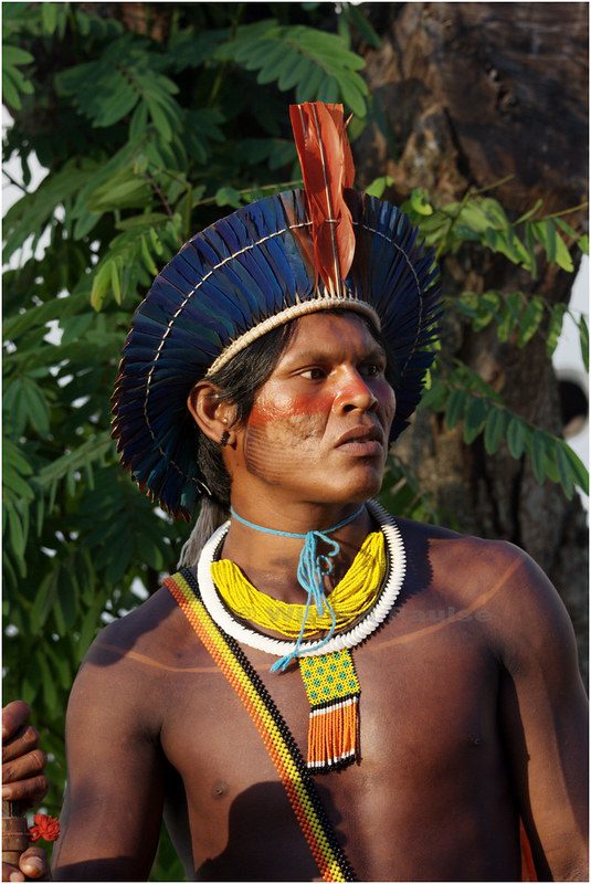 You are currently viewing História – Povos indígenas no Brasil