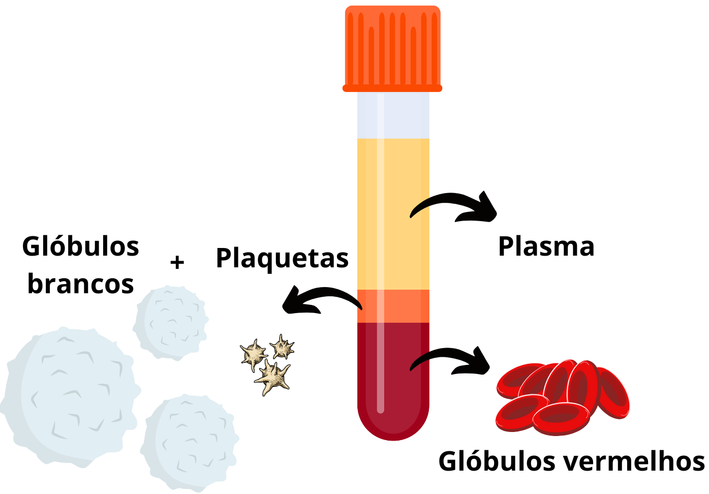 Ciências da Natureza – Misturas, fenômenos físicos e químicos – Conexão ...