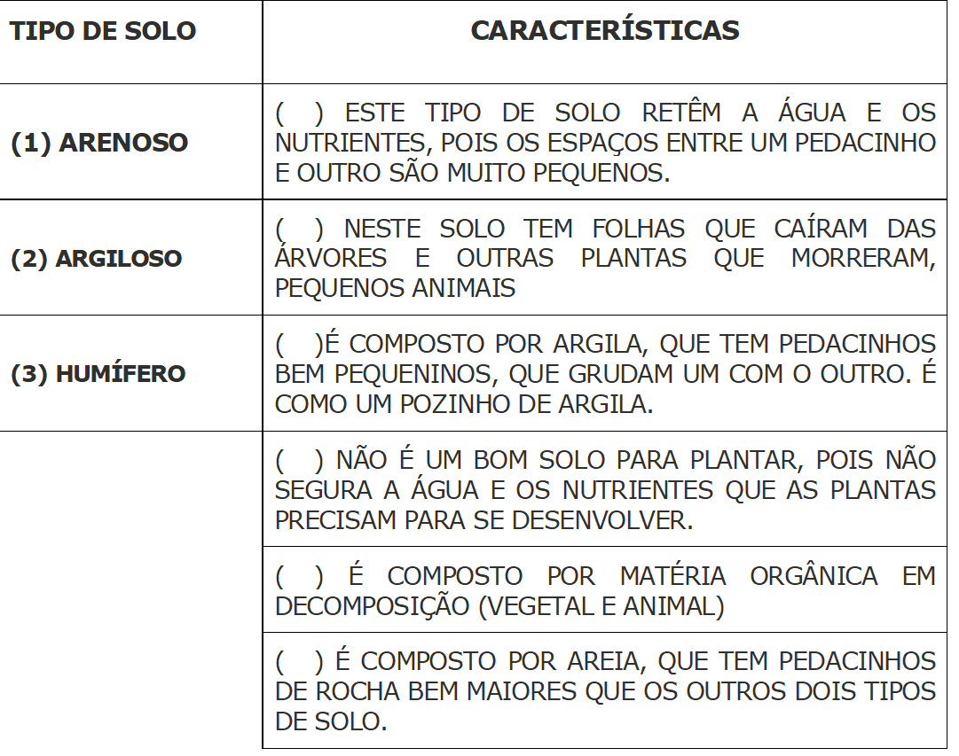 Geografia – Tipos De Solos – Conexão Escola SME