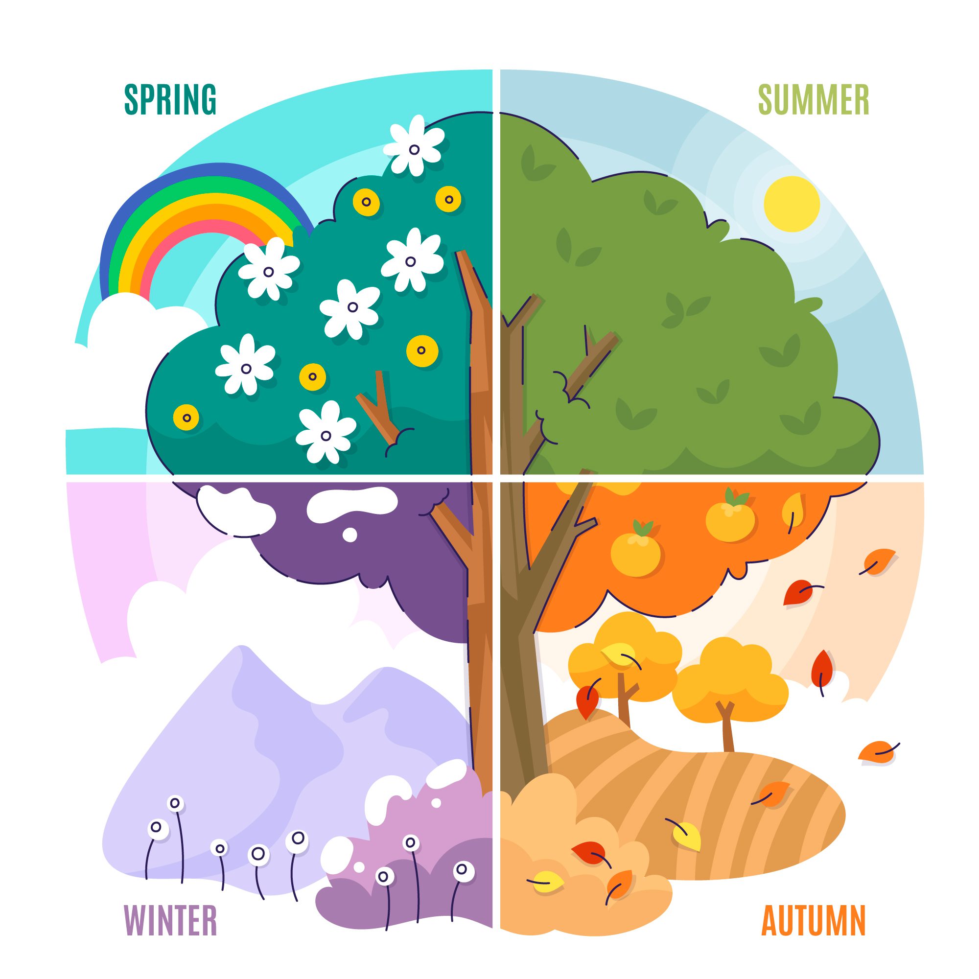 You are currently viewing Língua Inglesa – Seasons and weather (Estações do Ano e Clima)