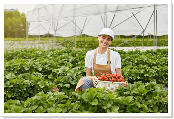 O surgimento da agricultura e do Estado