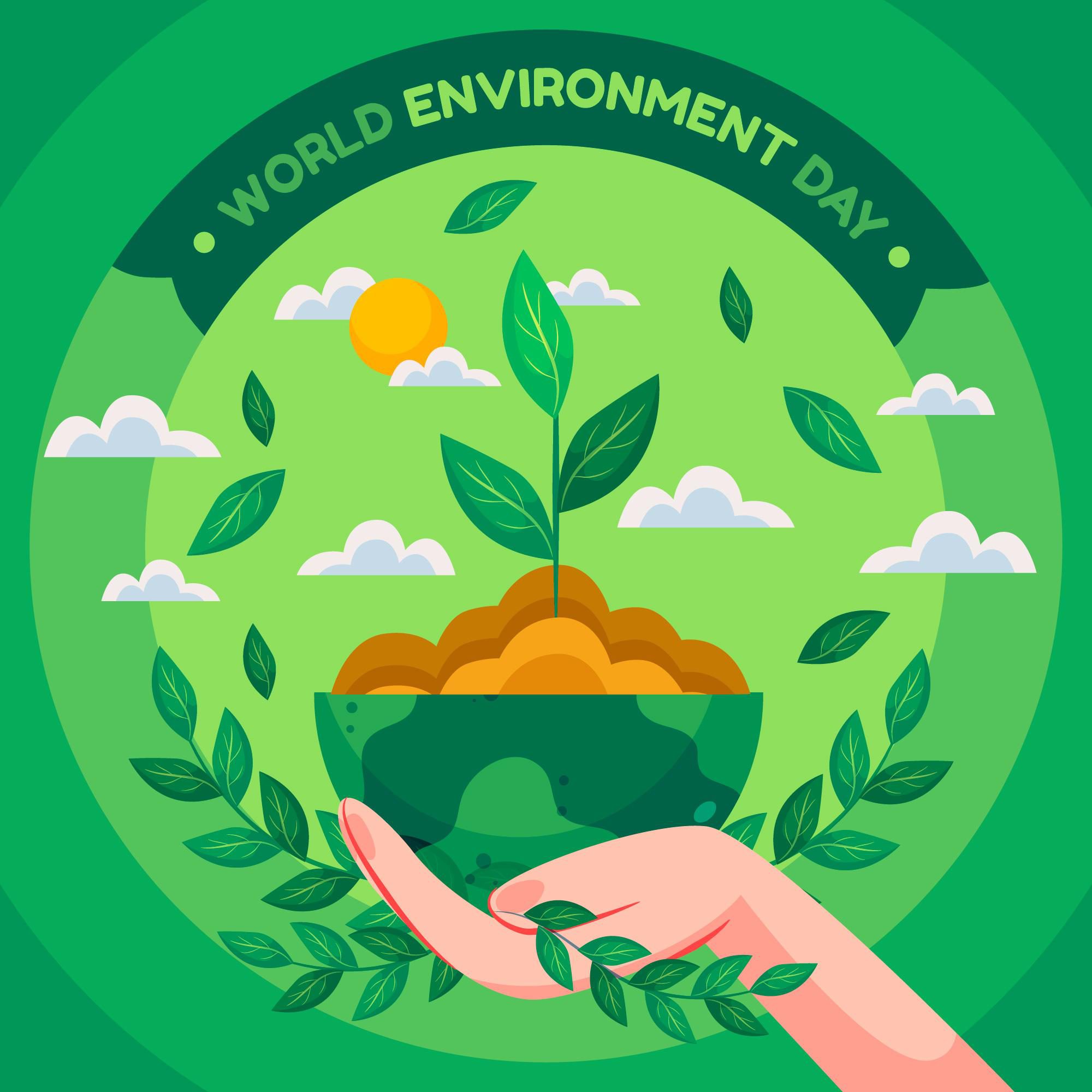Meio Ambiente e Sustentabilidade - 6º e 7º ano