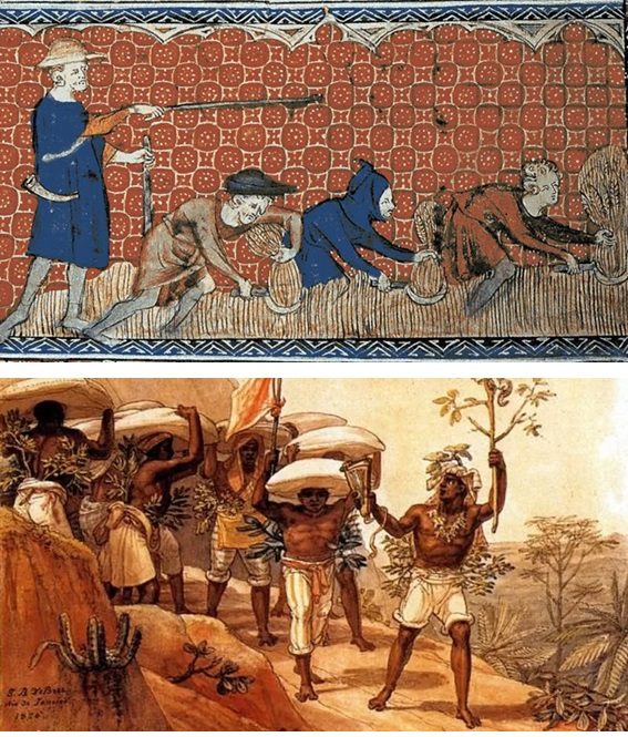 Plano de aula - 7º ano - A servidão medieval e a escravidão moderna
