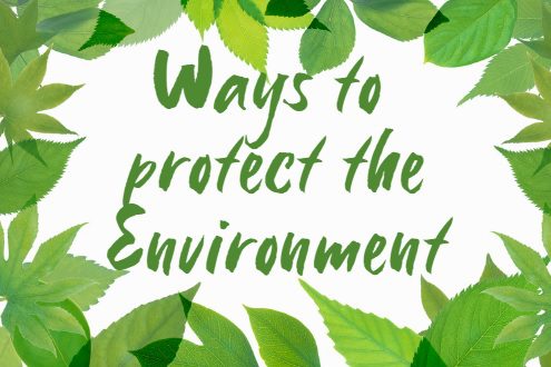 You are currently viewing Língua Inglesa: Ways to Protect the Environment