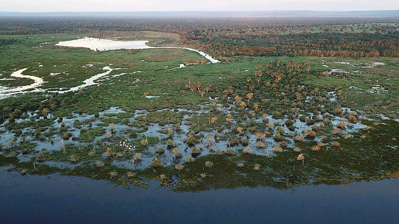 You are currently viewing Geografia – Impactos ambientais no Pantanal