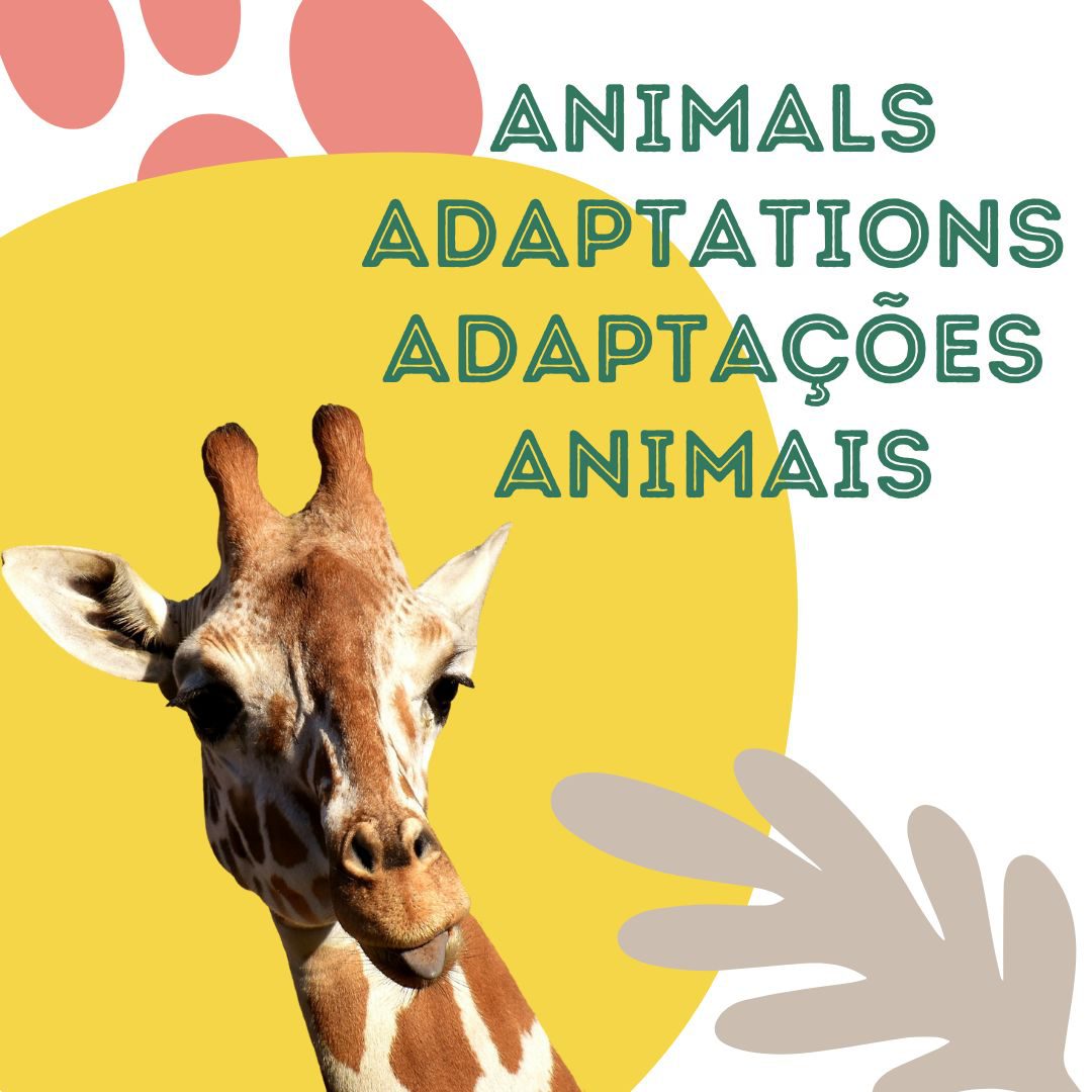 You are currently viewing Língua Inglesa – Animals adaptations (Adaptações animais)
