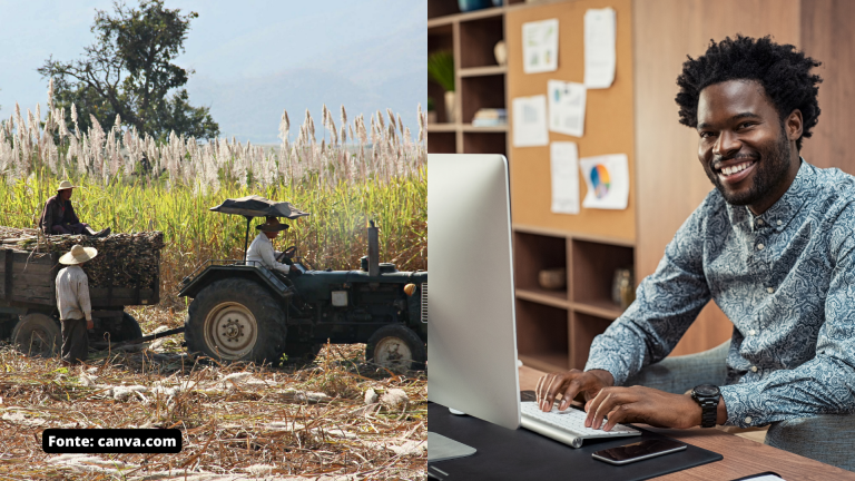 Geografia – O trabalho no campo e na cidade – Conexão Escola SME