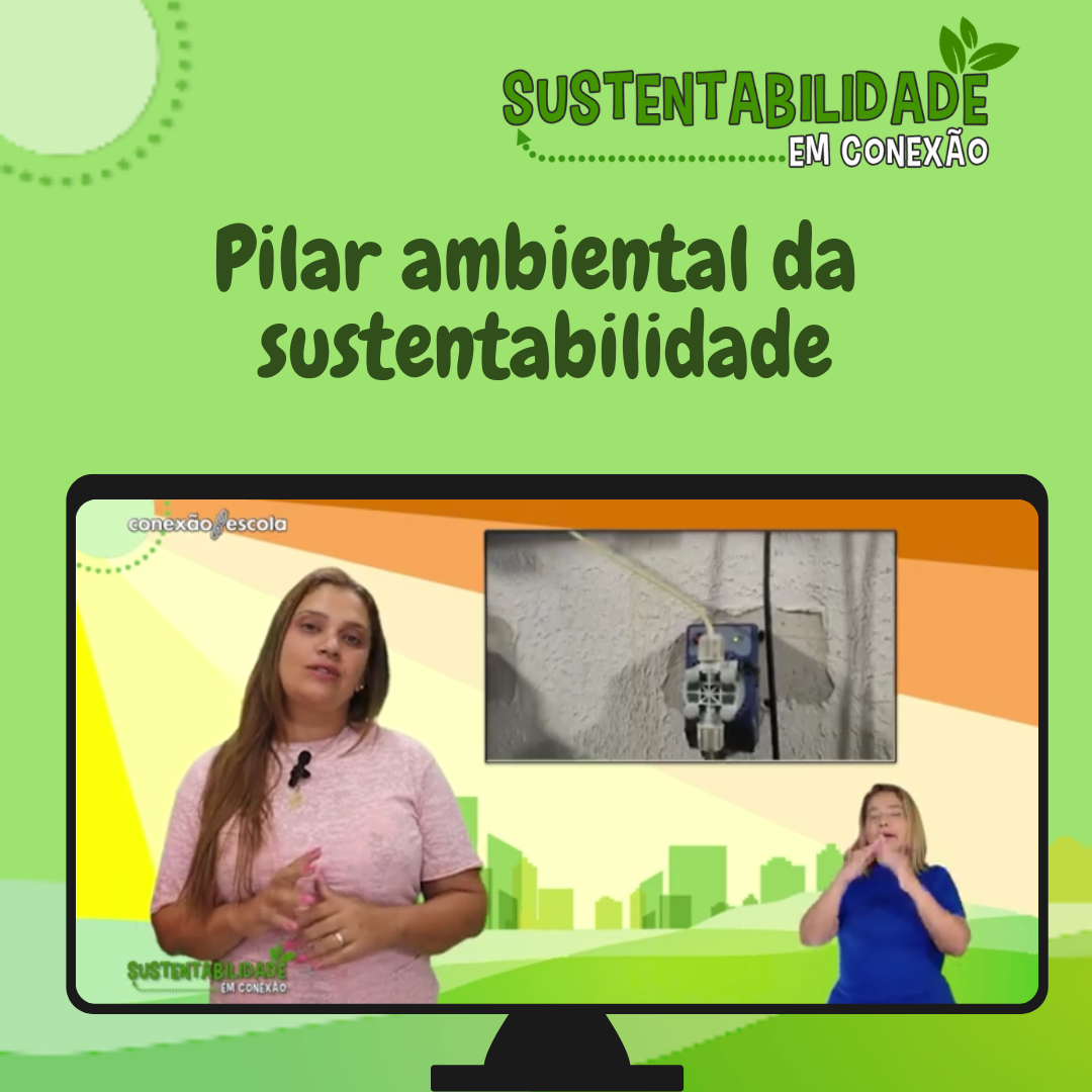 You are currently viewing Sustentabilidade em Conexão: Pilar Ambiental da Sustentabilidade