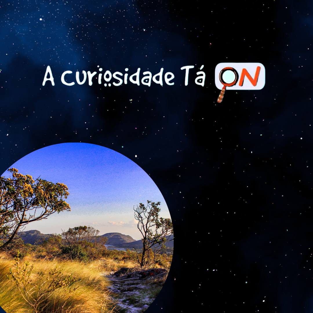 You are currently viewing A Curiosidade tá ON: O Cerrado na região da Cidade de Goiás