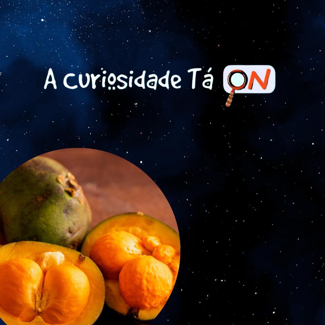 You are currently viewing A Curiosidade tá ON: A Cultura e o Patrimônio na cidade de Goiás