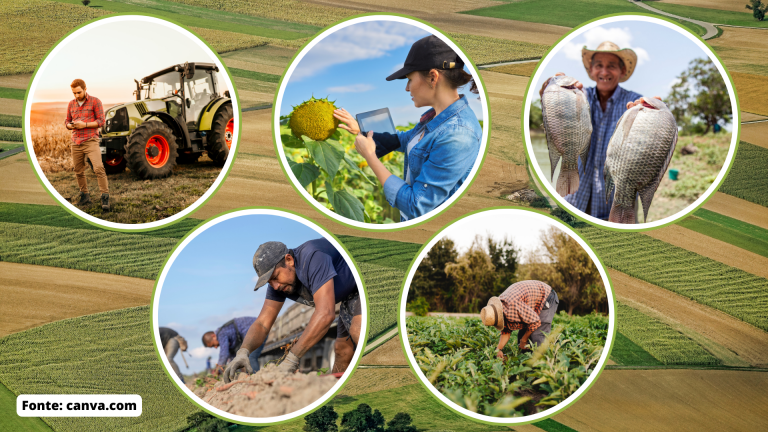 Geografia – Brasil: As diversas formas de trabalho no campo – Conexão ...