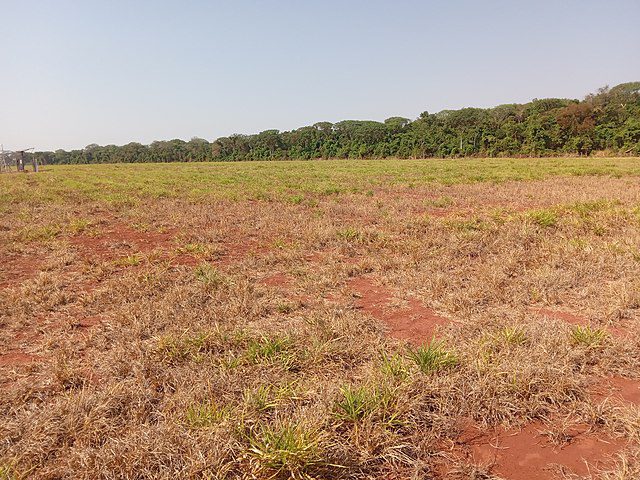 You are currently viewing Geografia – Os Domínios morfoclimáticos do Brasil