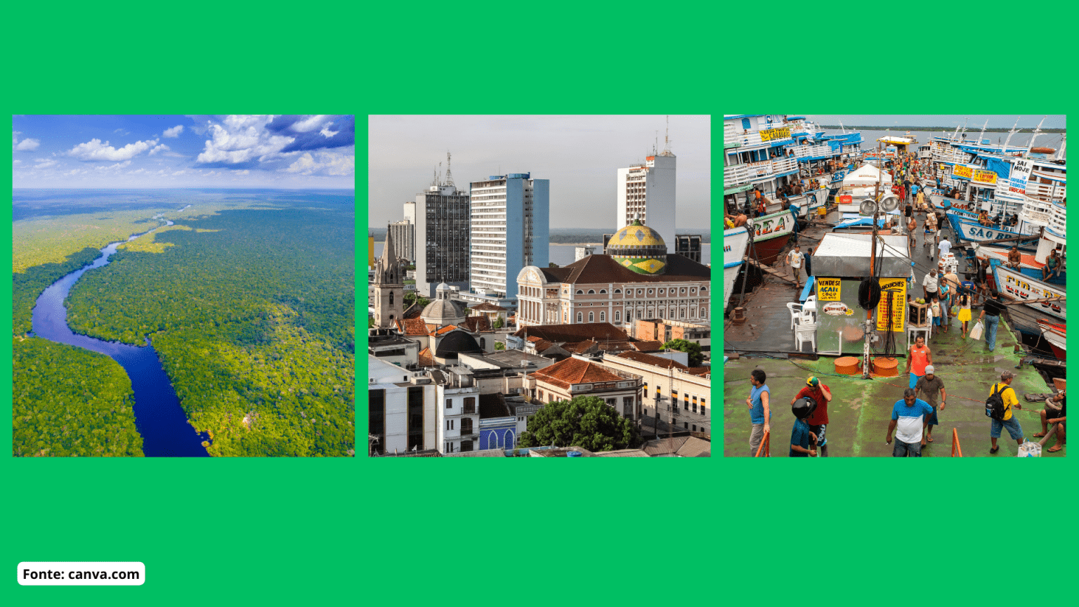 Geografia – A divisão territorial do Brasil – Conexão Escola SME