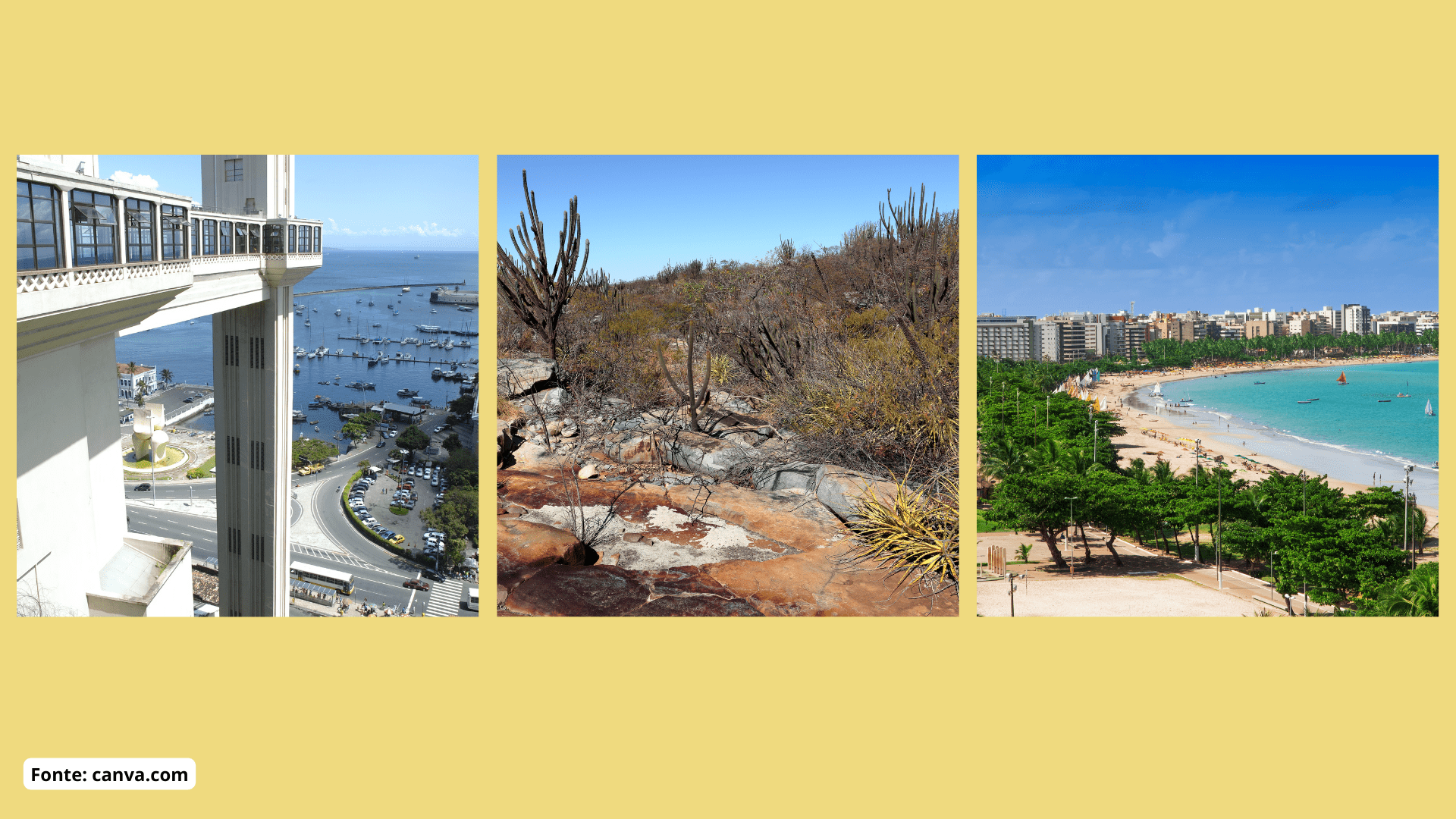 Geografia – A divisão territorial do Brasil – Conexão Escola SME