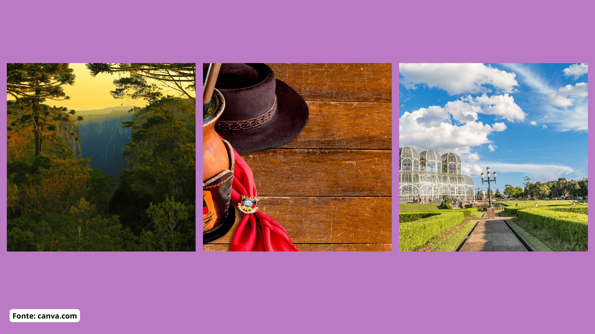 Geografia – A divisão territorial do Brasil – Conexão Escola SME