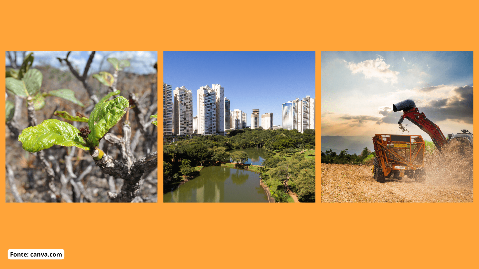 Geografia – A divisão territorial do Brasil – Conexão Escola SME