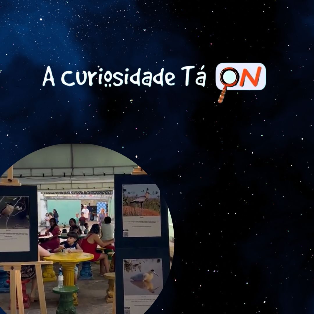 You are currently viewing A Curiosidade tá ON –  Projeto Jornada do Conhecimento na E. M.  Lauricio Pedro Rasmussem