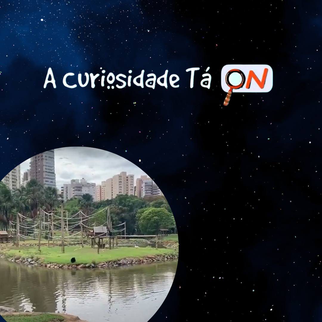 You are currently viewing A Curiosidade tá ON –  Conhecendo o Zoológico de Goiânia.