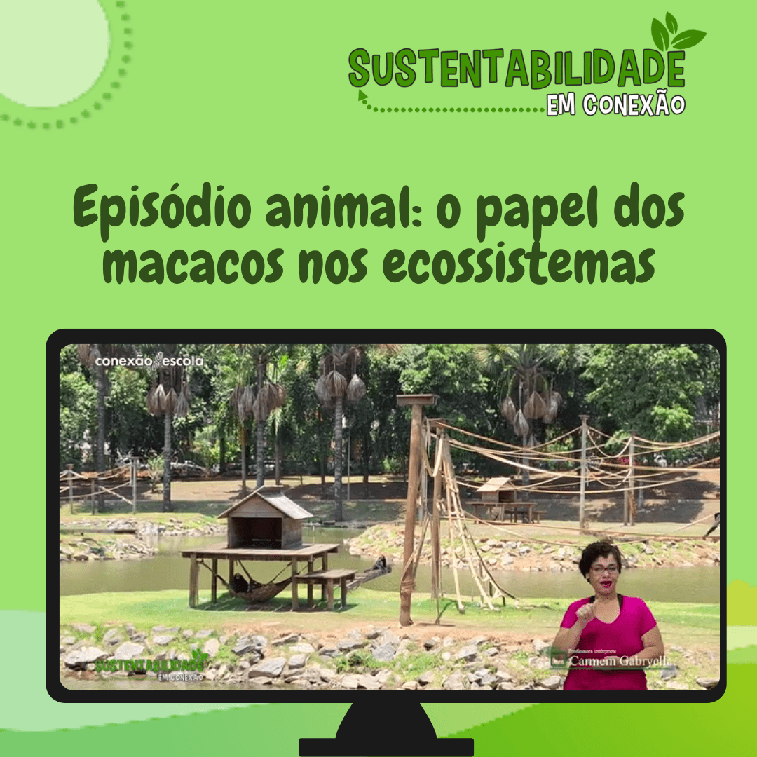 You are currently viewing Sustentabilidade em Conexão – Episódio animal: o papel dos macacos nos ecossistemas